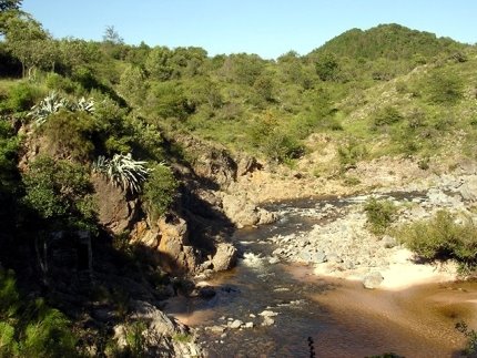 EL RÍO