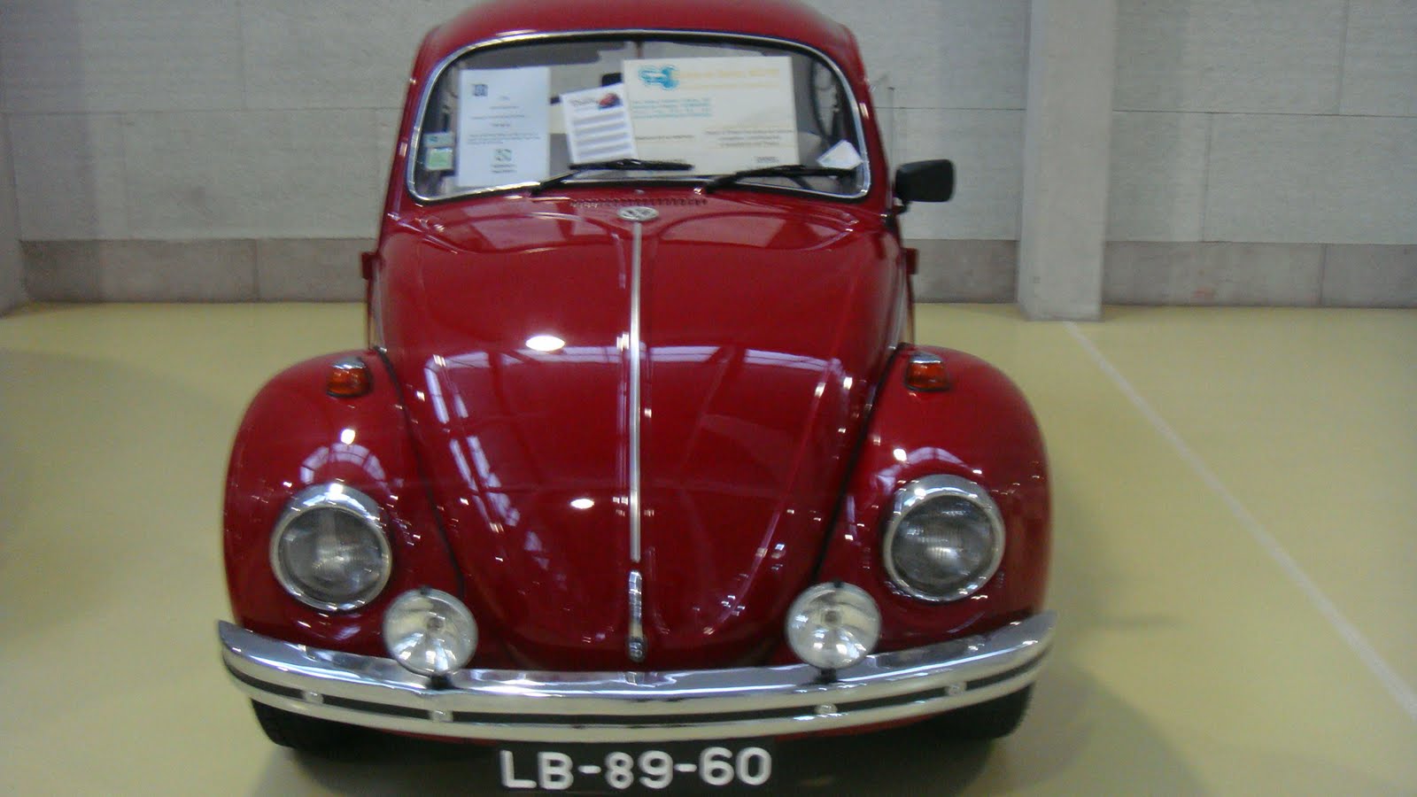 [DSC03079.JPG]