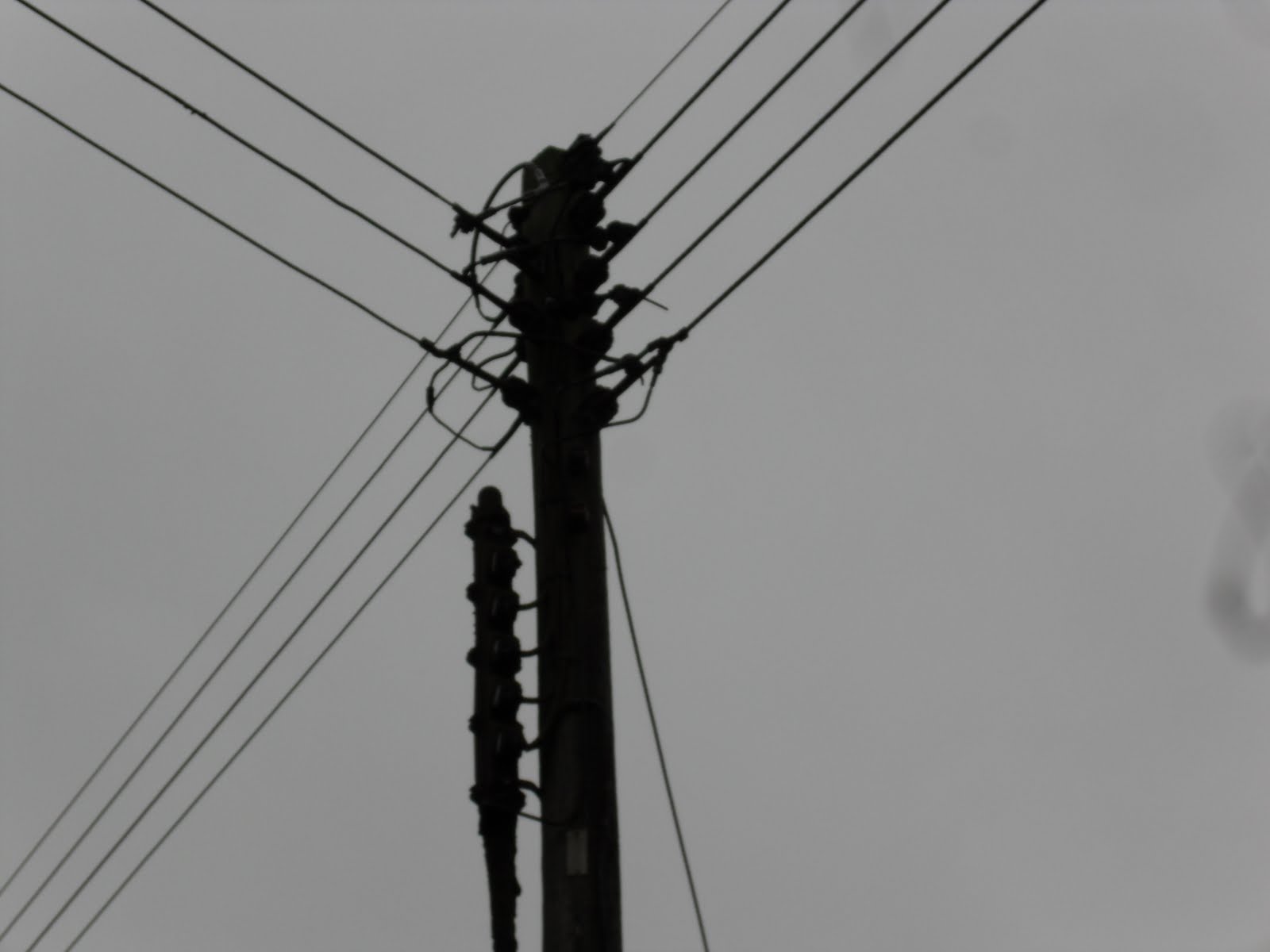 Lines of communication 1. Posted by skree at 09:42 0 comments sex hongkong hot girls