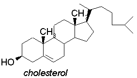 Cholesterol+molecule+structure