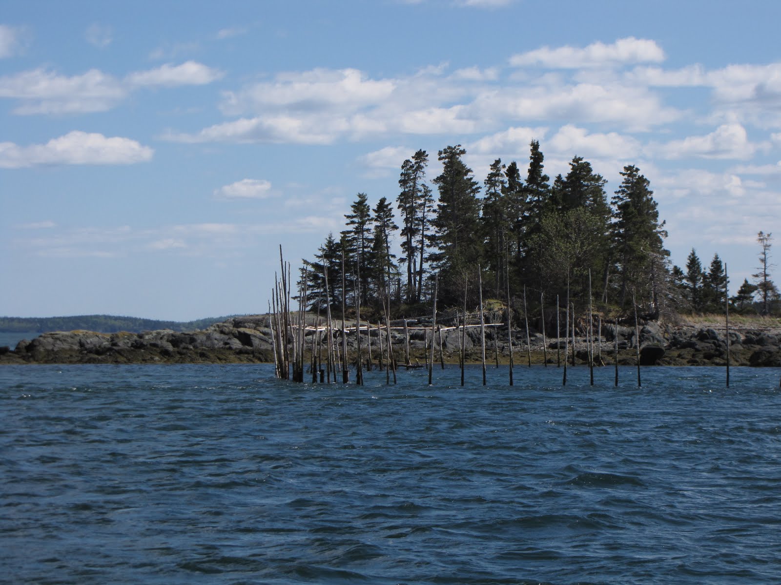 FiveKennys Deer Island