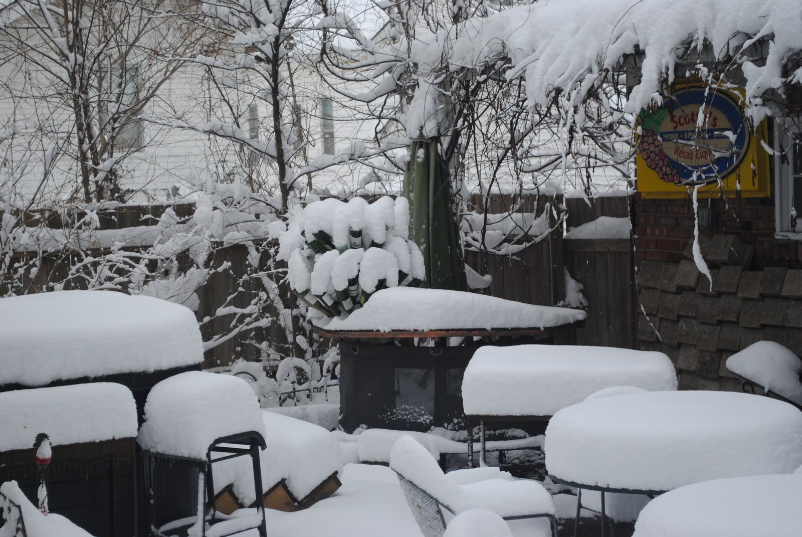 [DSC_0050.JPG]