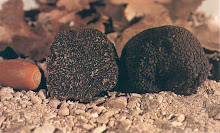 BLACK AND WHITE TRUFFLES