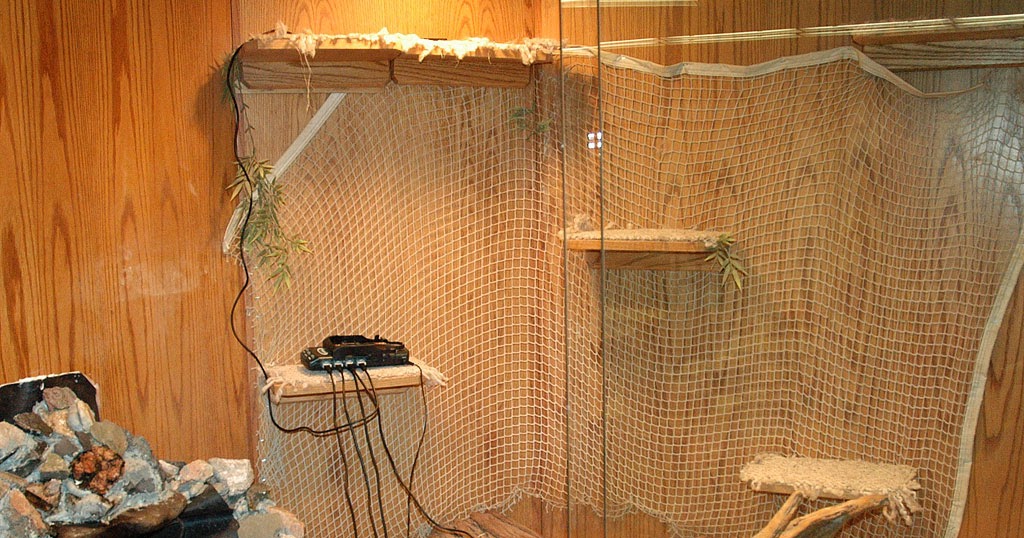 About Iguana Iguana Guide Iguana Tips Tips and tricks in building