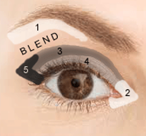 PB and J Apparel: Eyeshadow Basics