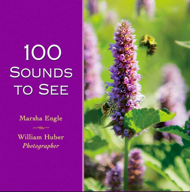 100 Sounds To See