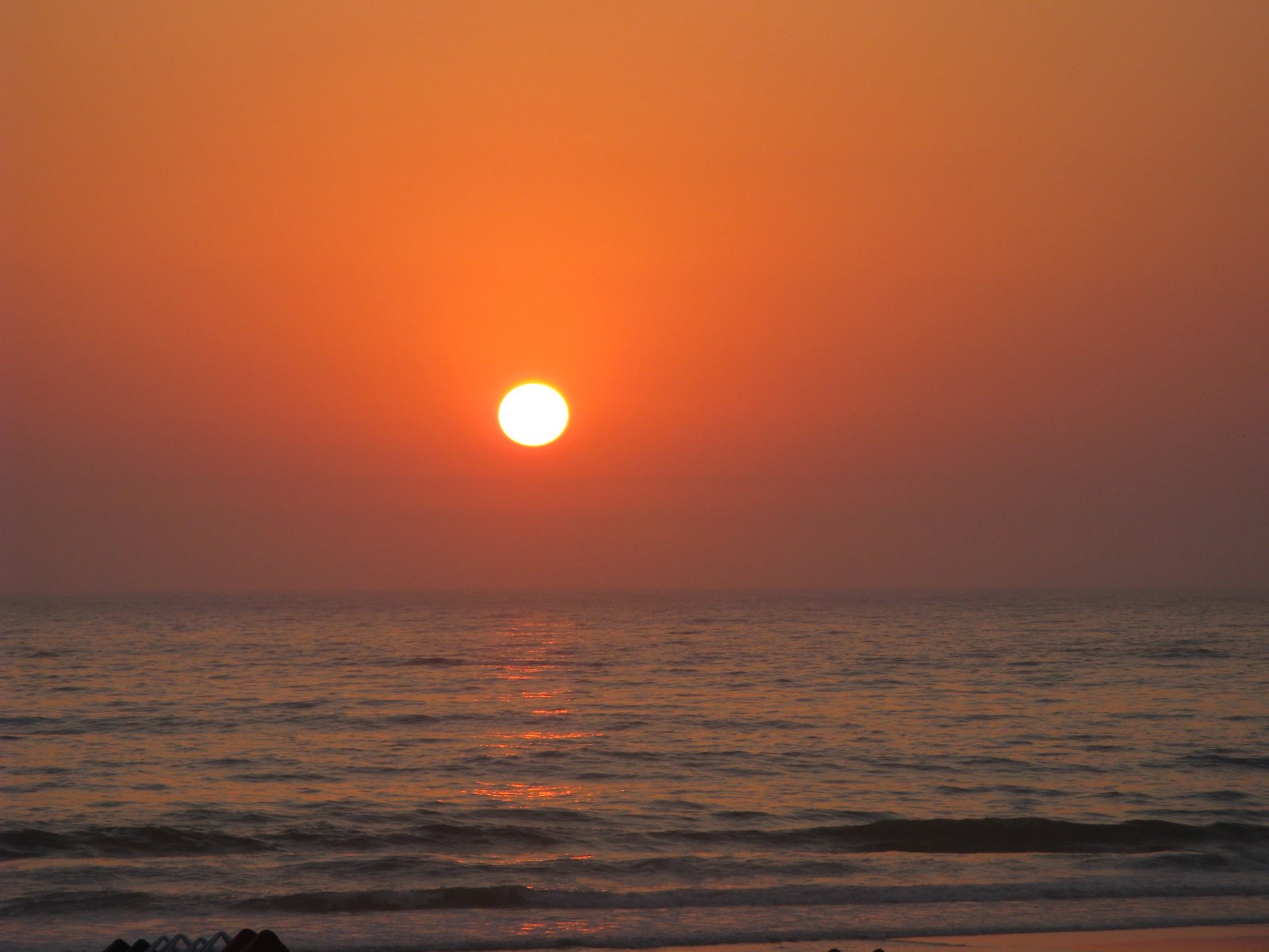 [IMG_0883[1]]