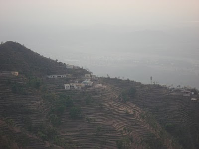 solan hp