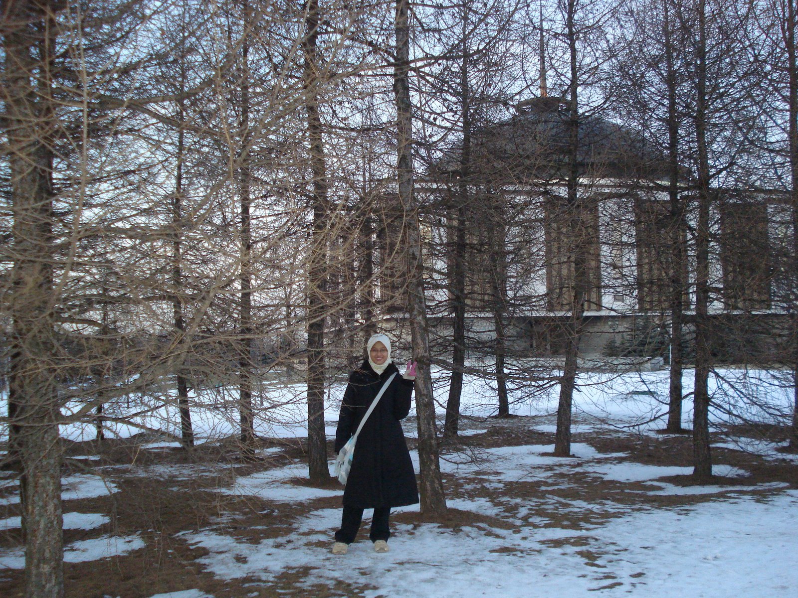 [DSC02157.JPG]