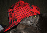 Gangsta Cat