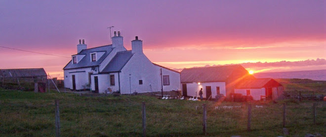 Black Sheep Croft