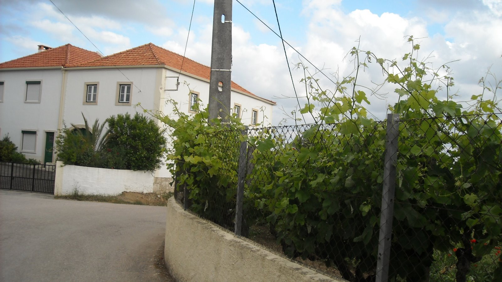 [DSCN2215.JPG]