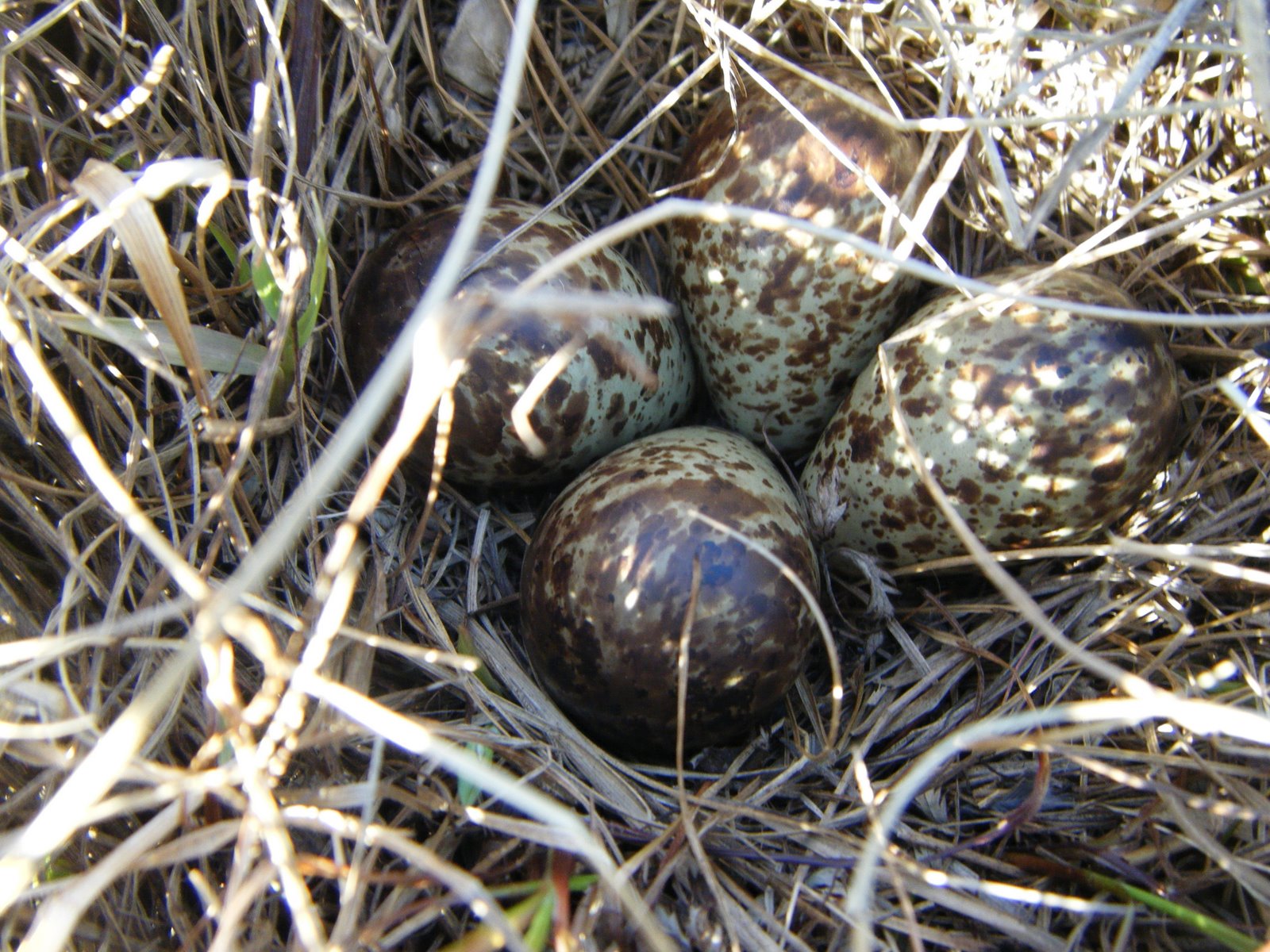 [DSCF3615.JPG]