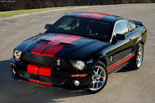 Shelby Mustang