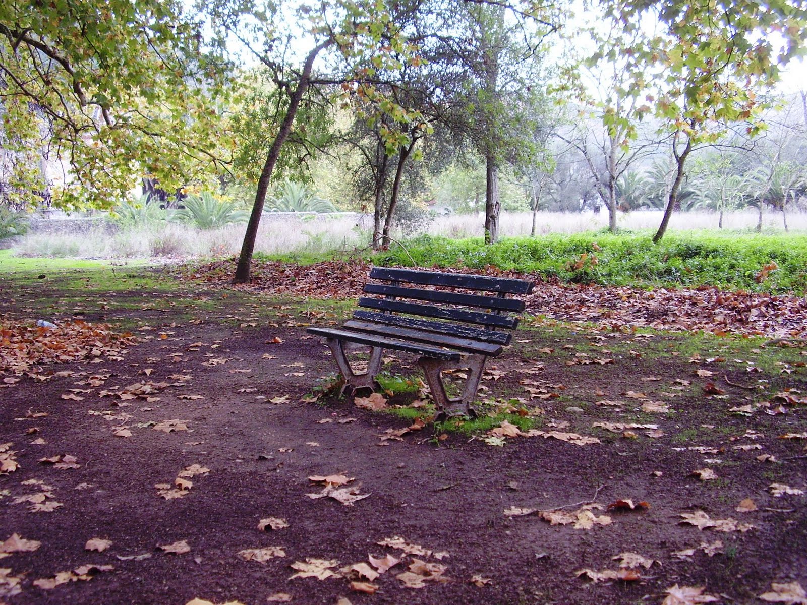 [PB140071.JPG]