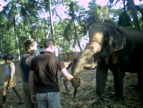 Puthenkulam Elephants