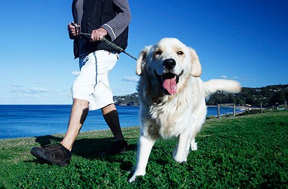Những phương thuốc cực rẻ, giúp nâng cao thể lực cho bạn. Walking+dog