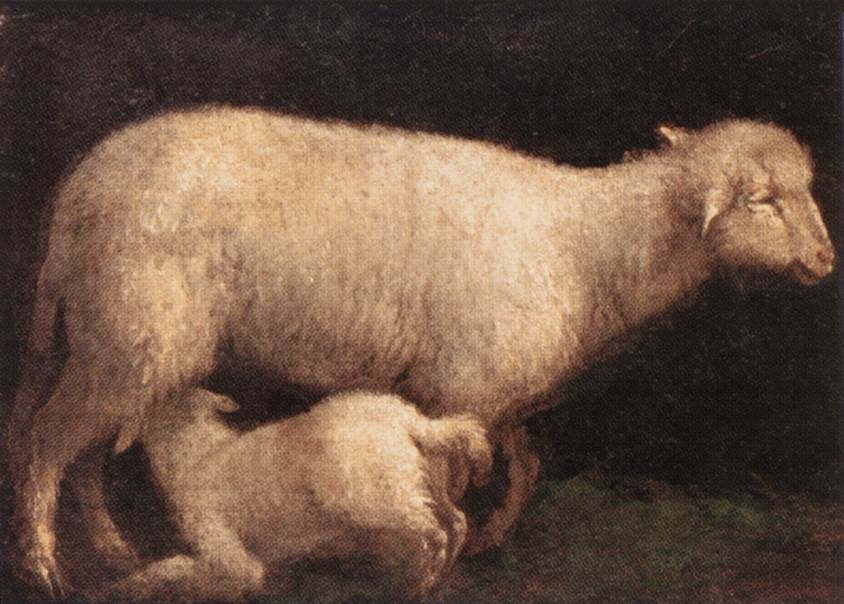 [sheep-lamb.jpg]