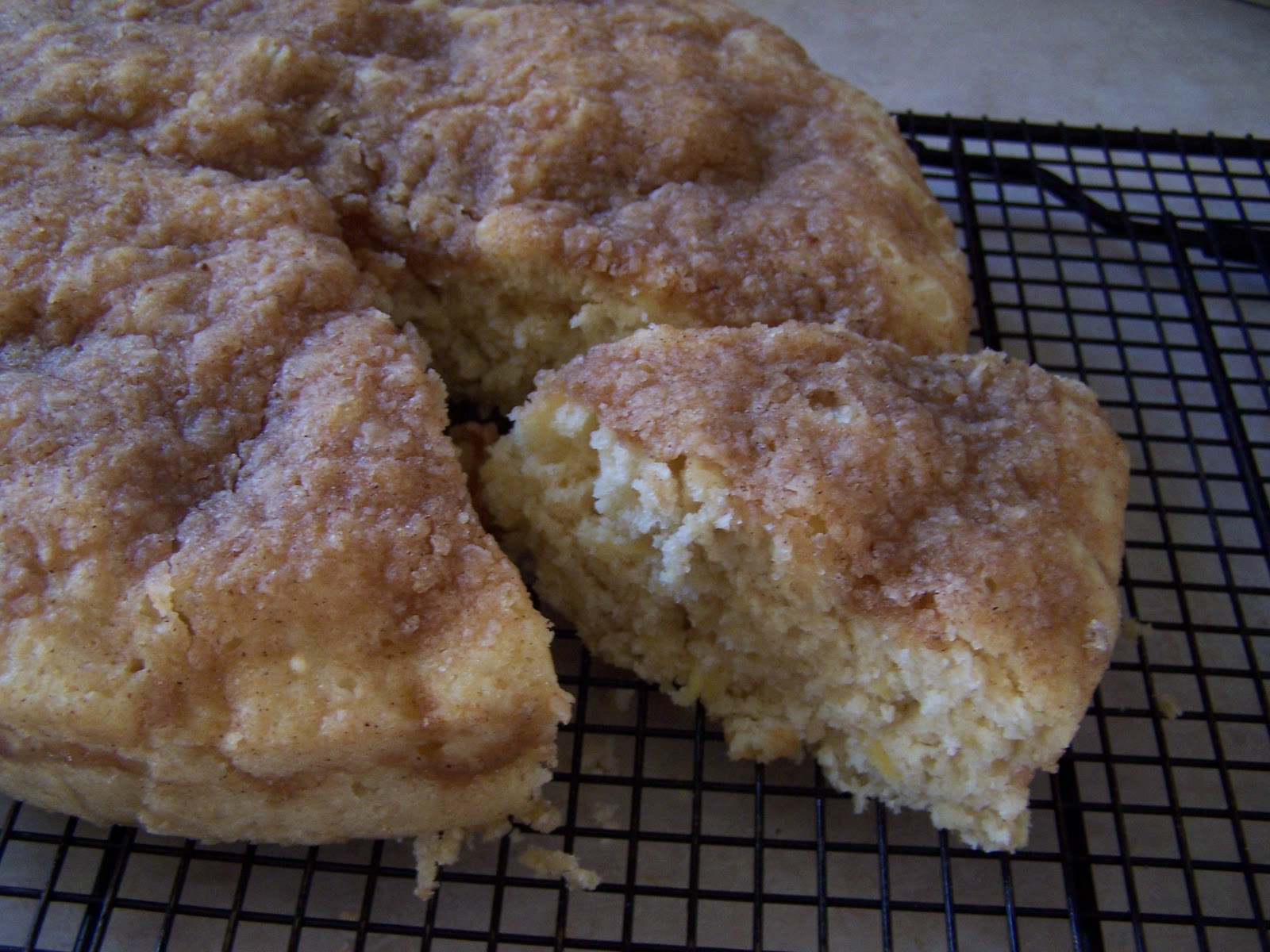 Dutch Oven Madness! Day 289 Dutch Apple Bread
