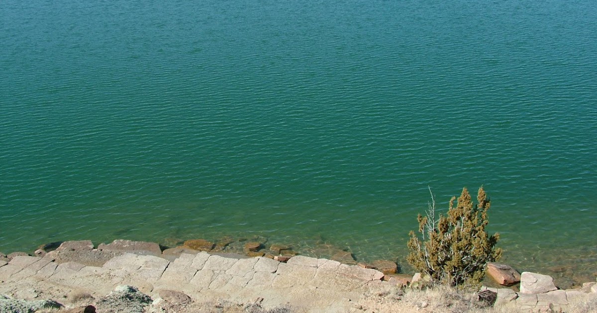 Ute Lake Real Estate and Stuff Saturday before Labor Day at Ute Lake