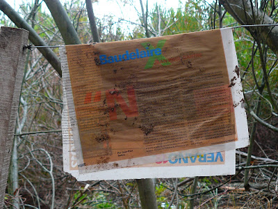 30 gotas de rivotril