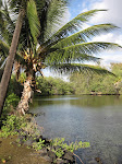 Hawaii is green, lush and mysterious. The Big Island is vulcanic.