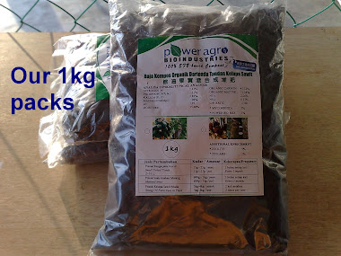 Our 1kg Pack