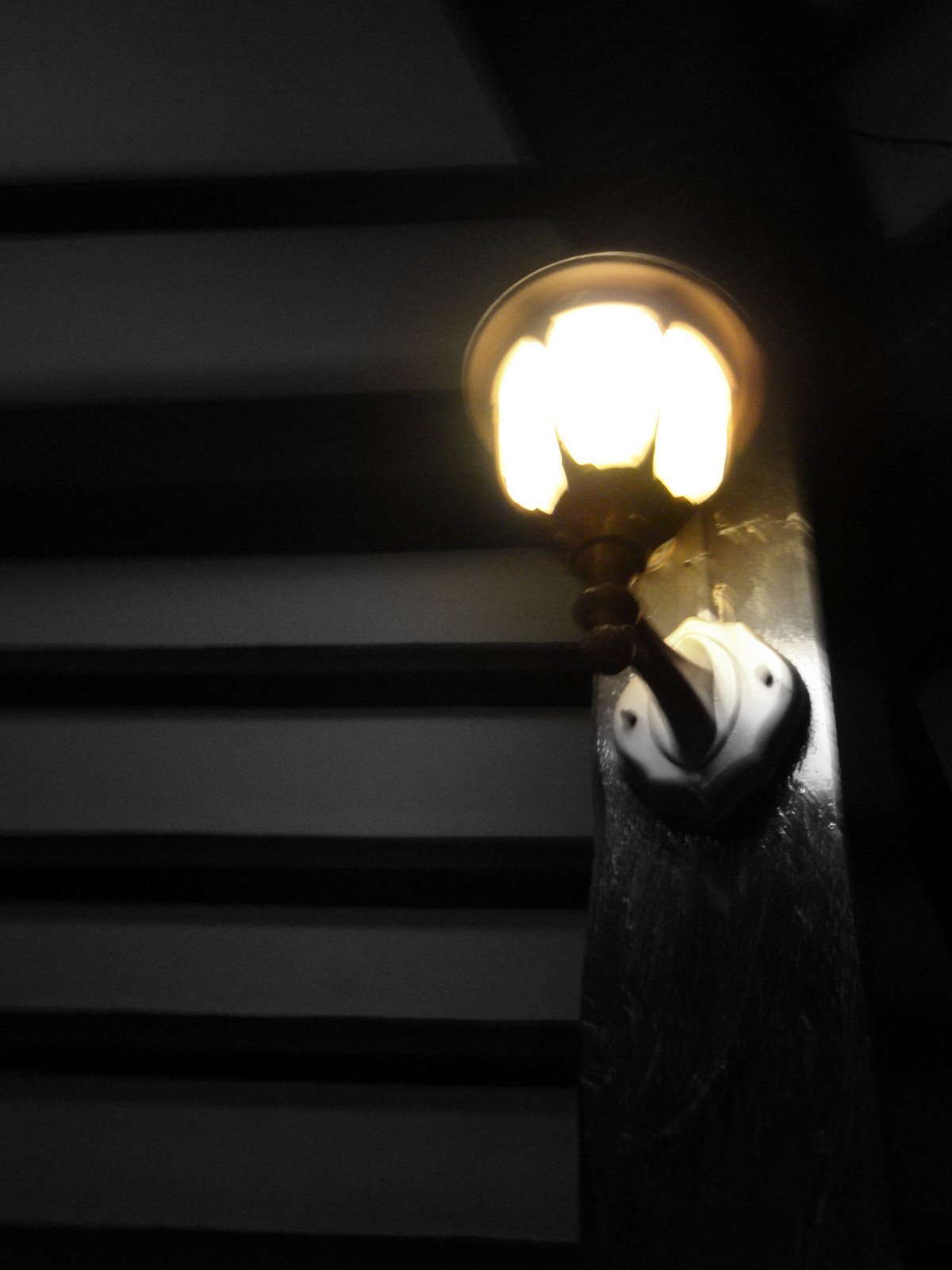 [editedDSC00295.jpg]