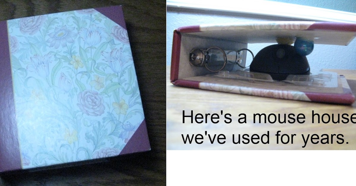 Adapting Creatively “Mouse House” Adapt a Computer Mouse for Switch Users