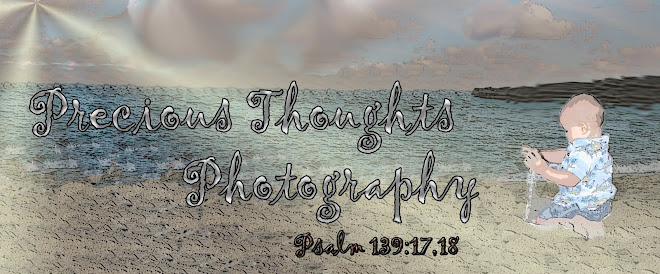 Precious Thoughts Photography