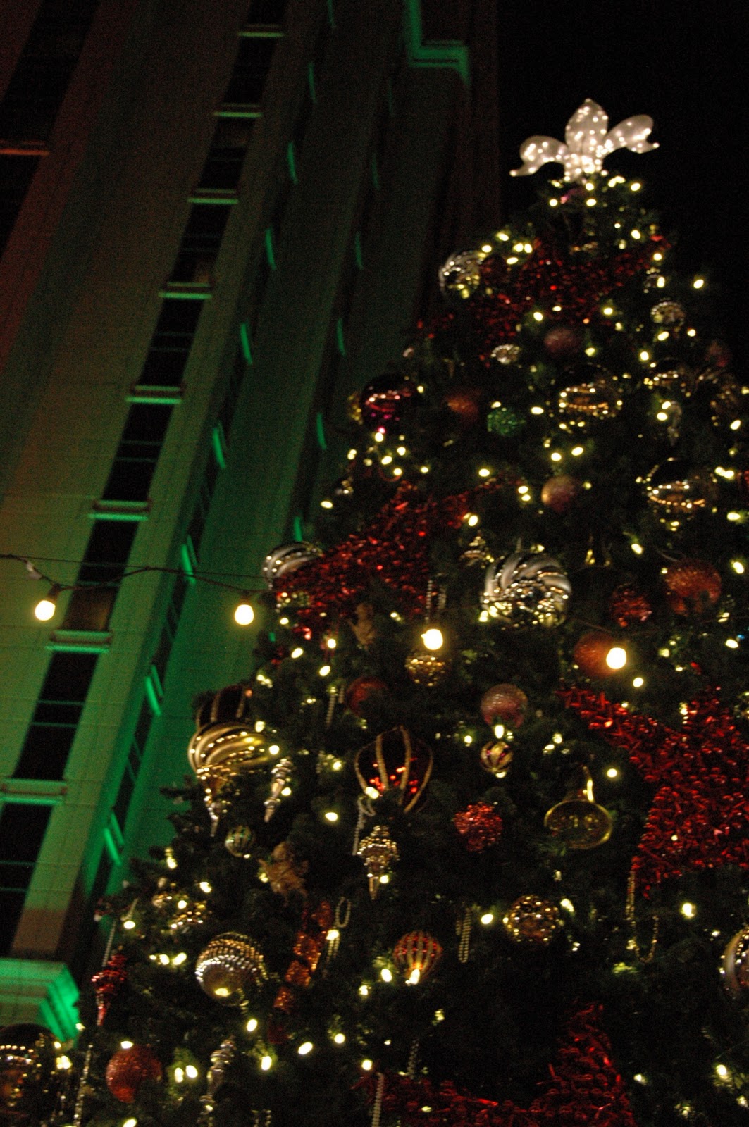 Outside of Paris Big Easy's Fulton Street a Christmas delight