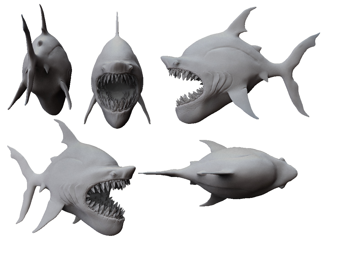 Shark Model