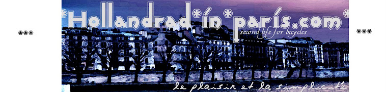 Hollandrad-in-paris          /import et vente de vélos hollandais/