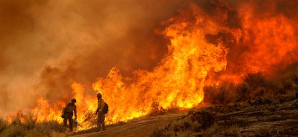 [forest+fire+australia.jpg]