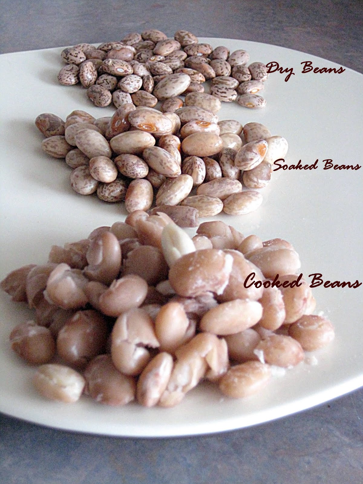 Ruchii Pinto Beans in Ancho Chili Sauce