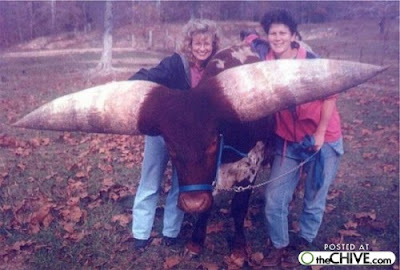Female Elephantitis