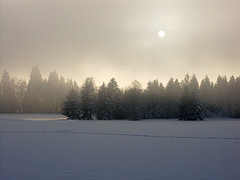 [fogsnow.jpg]