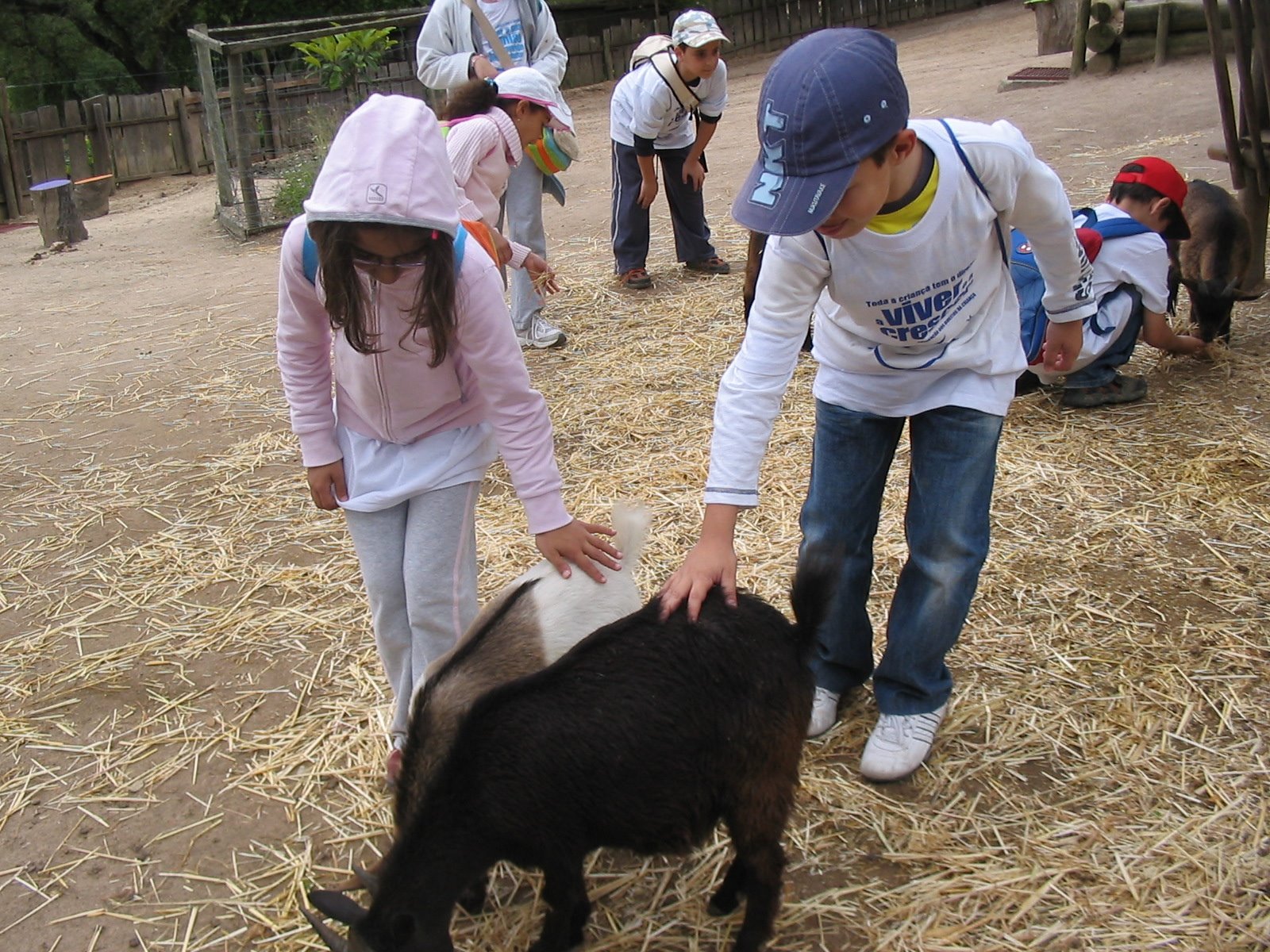 [IMG_0195.jpg]