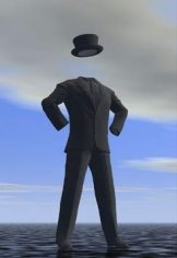 [010160070503-invisible_man.jpg]
