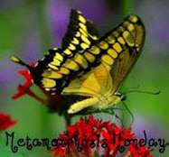 What is Metamorphosis Monday? Click below for the details.