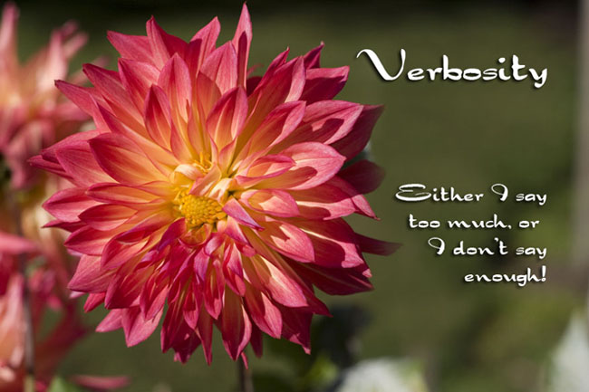 Verbosity