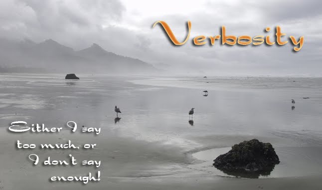Verbosity