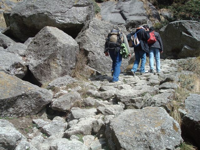 [DSC09221.jpg]