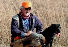 Kansas Pheasant