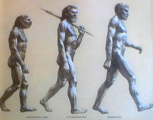 [evolution+of+man.jpg]