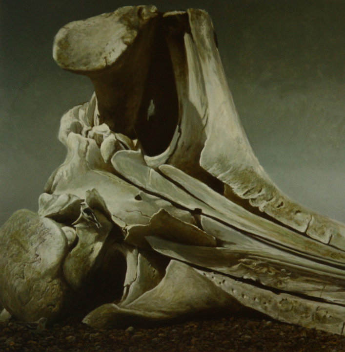 Robert Bateman Photos