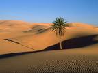 Deserto