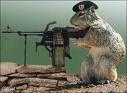 Hamster Machine Gun