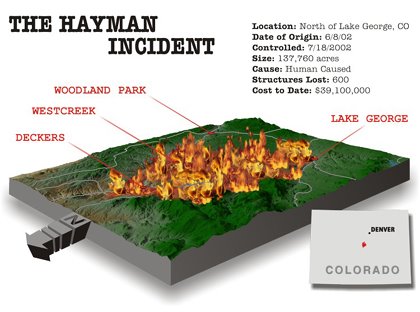 [hayman-2.jpg]