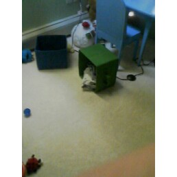 [image-upload-736989.jpe]